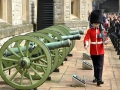 Tower of London Guard